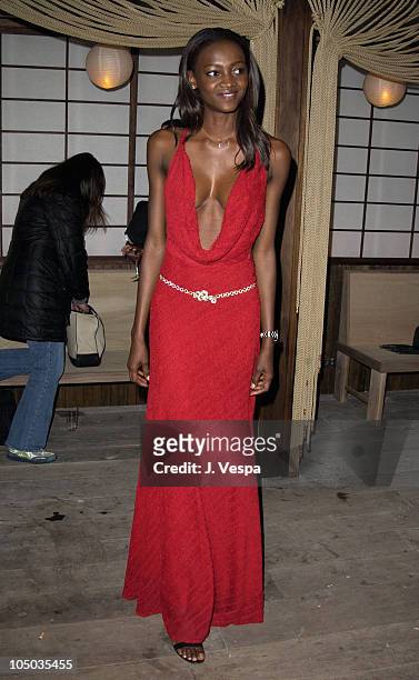 Oluchi Onweagba during Victoria's Secret and Interview Magazine's SEXY Book Launch at Maritime Hotel in New York City, New York, United States.