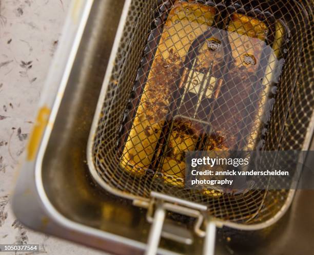 deep fryer with oil - frito em gordura abundante - fotografias e filmes do acervo