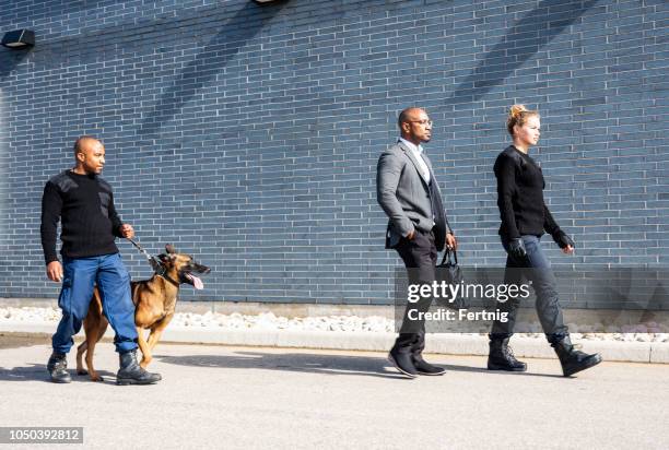 deux professionnels de la sécurité k-9 avec un malinois belge sur un peloton de protection personnelle. - agent de sécurité photos et images de collection