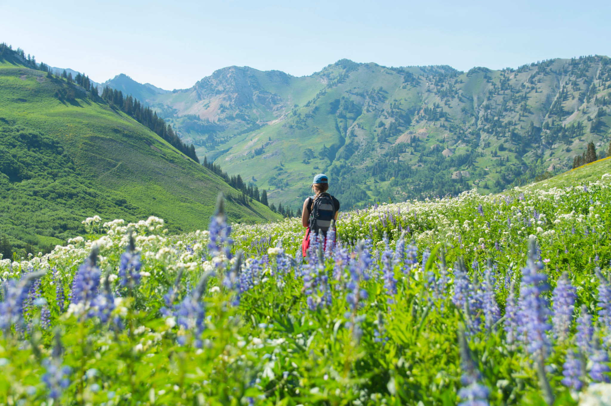 utah hiking