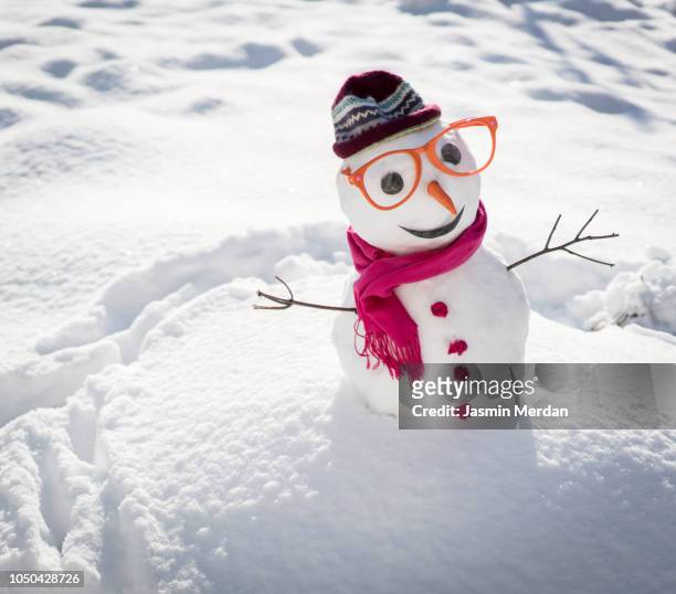 winter snowman on snow - snowman photos et images de collection