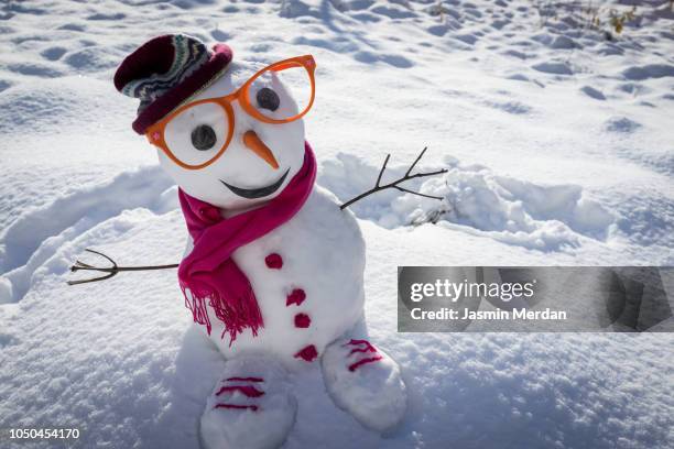 winter snowman on snow - new year 2019 stock-fotos und bilder