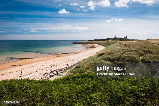tranquil beach scene near dunstanburgh castle, northumberland coast path, northumberland, england - northumberland stock pictures, royalty-free photos & images