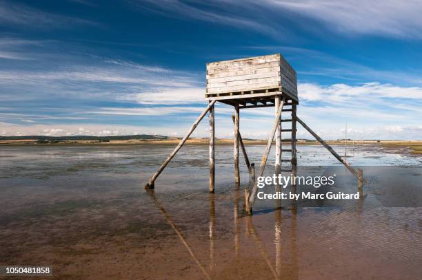high tide refuge, lindisfarne island, northumberland, england - lindisfarne stock pictures, royalty-free photos & images