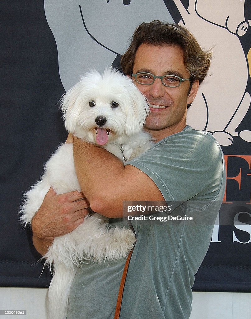 Best Friends Animal Sanctuary's Pet Adoption Festival