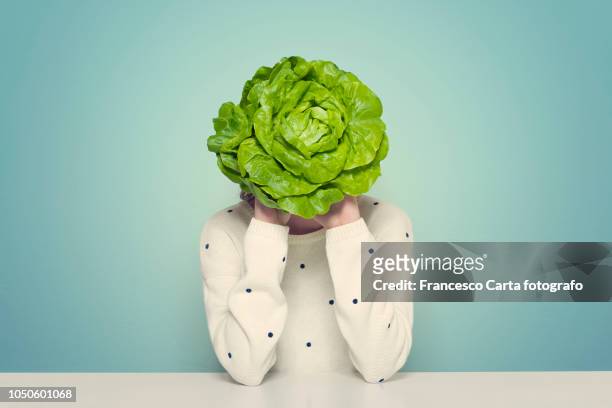 healthy life - lettuce stock pictures, royalty-free photos & images