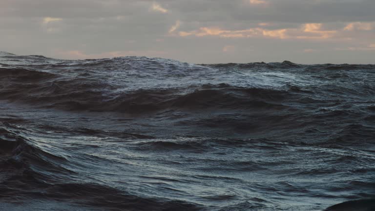 imagen en miniatura de vídeo