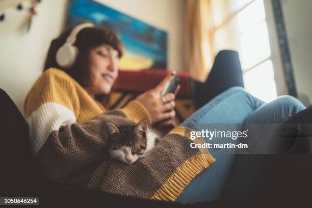 gezellig thuis - chaise stockfoto's en -beelden