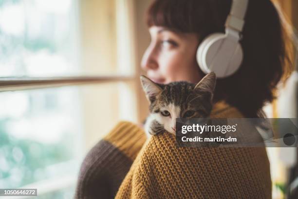 cozy home - cat and owner stock pictures, royalty-free photos & images