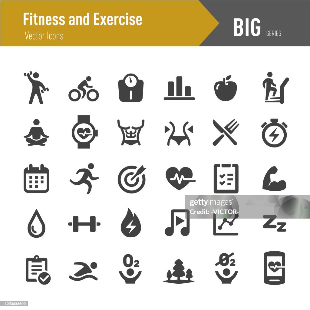 Fitness and Exercise Icons - Big Series