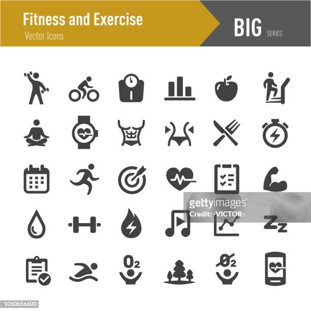 fitness and exercise icons - big series - healthy lifestyle stock illustrations