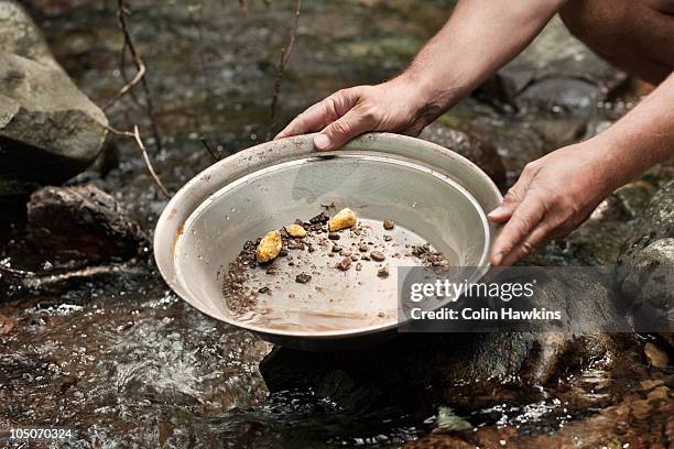 gold panning - gold waschen stock-fotos und bilder