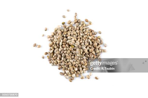 cannabis hemp seeds close up macro shot isolated - hemp stock pictures, royalty-free photos & images