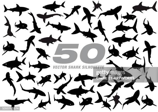 ilustrações de stock, clip art, desenhos animados e ícones de 50 vector shark silhouette - 2018