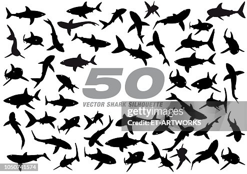 50向量鯊魚剪影 50向量鯊魚剪影