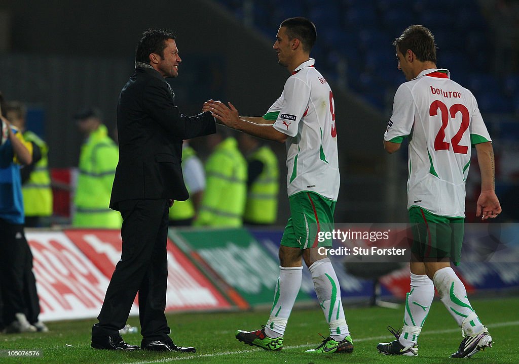 Wales v Bulgaria - EURO 2012 Qualifier