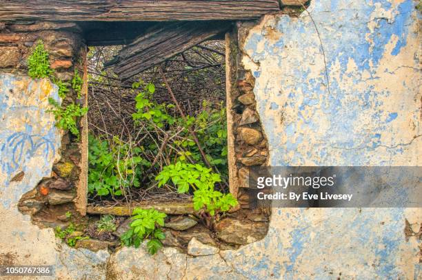 abandoned house window in granadilla on a rainy day - abandoned crack house stock pictures, royalty-free photos & images