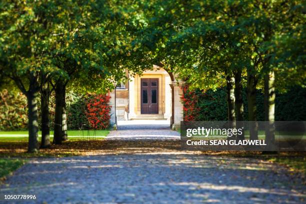 treelined entrance - majestic hotel stock pictures, royalty-free photos & images