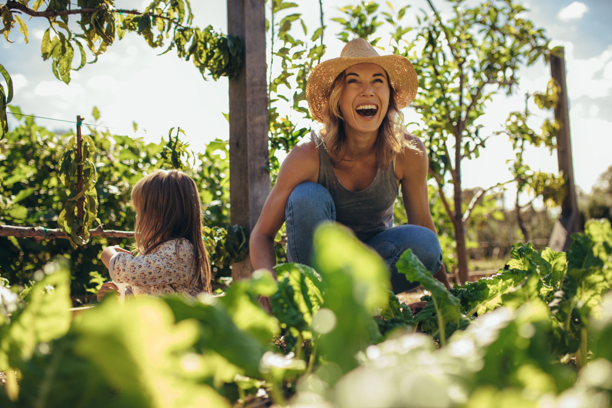 organic lifestyle