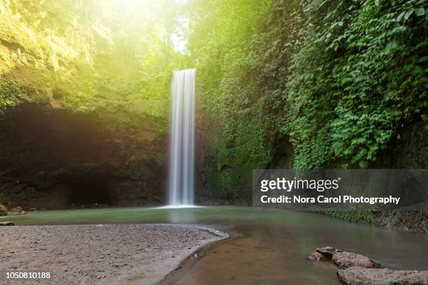 tibumana waterfall in ubud, bali. - bali waterfall stock pictures, royalty-free photos & images