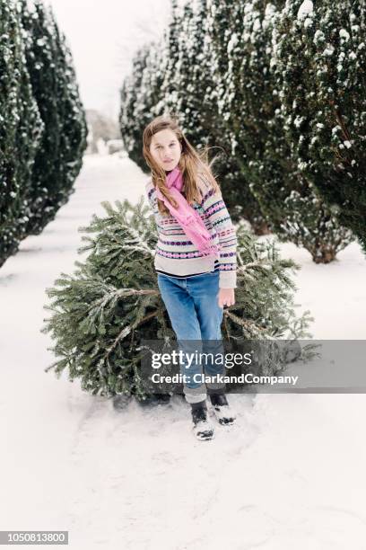 teenage girl pulling her christmas tree home. - drag christmas tree stock pictures, royalty-free photos & images