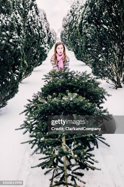 teenage girl pulling her christmas tree home. - drag christmas tree stock pictures, royalty-free photos & images