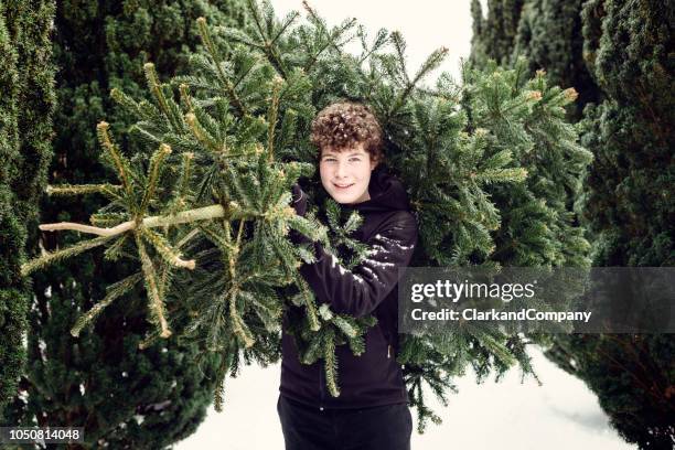 teenage boy carrying a christmas tree home. - drag christmas tree stock pictures, royalty-free photos & images