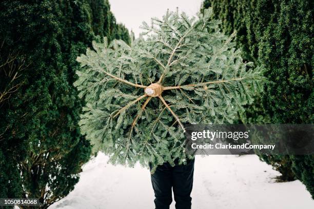 teenage boy carrying a christmas tree home. - christmas tree outside stock pictures, royalty-free photos & images