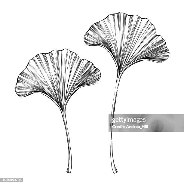 532点の銀杏イラスト素材 Getty Images 532点の銀杏イラスト素材 Getty Images