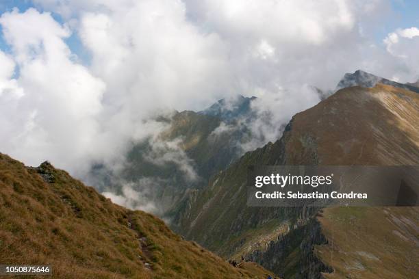 ridge of moldoveanu peakfagaras mountains, romania - relief carving stock pictures, royalty-free photos & images