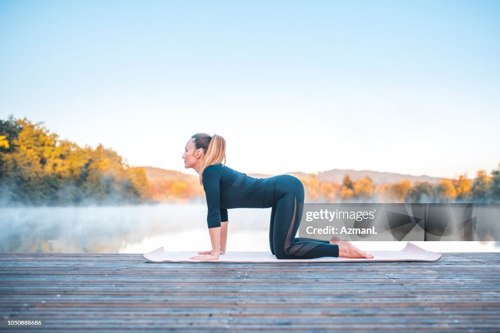 Yoga-Pose - Kuh darstellen (Bitilasana)