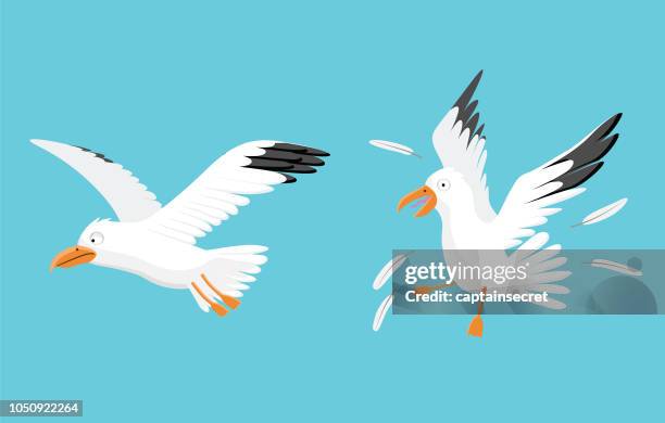 vector cartoon seagulls flying in the air - seagull icon stock illustrations