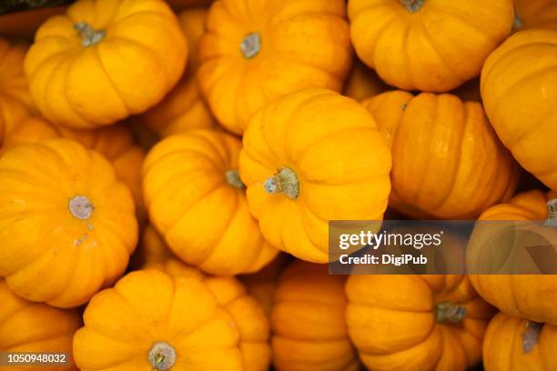 gift pumpkins piled for sale in tokyo in october, produced in usa - pumpkin decoration stock pictures, royalty-free photos & images