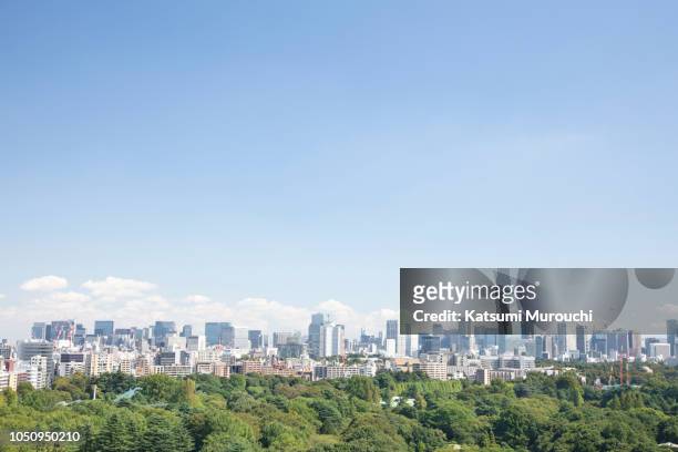 city and forest of tokyo - 景色　東京　空 ストックフォトと画像