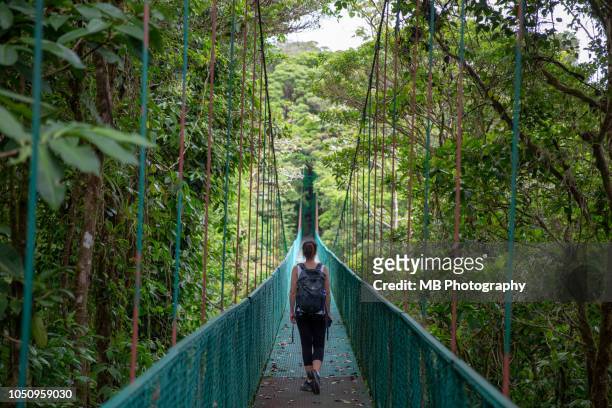 woman on hanging bridges - costa rica forest stock pictures, royalty-free photos & images
