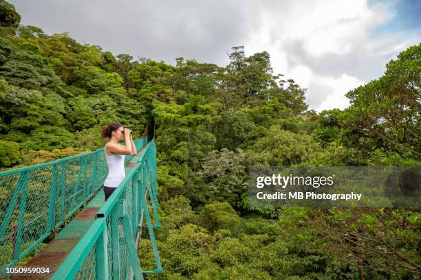 woman on hanging bridge with binoculars - baumkrone stock-fotos und bilder