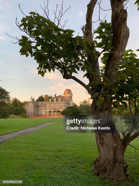 haunted mansion - haunted mansion exterior stock pictures, royalty-free photos & images