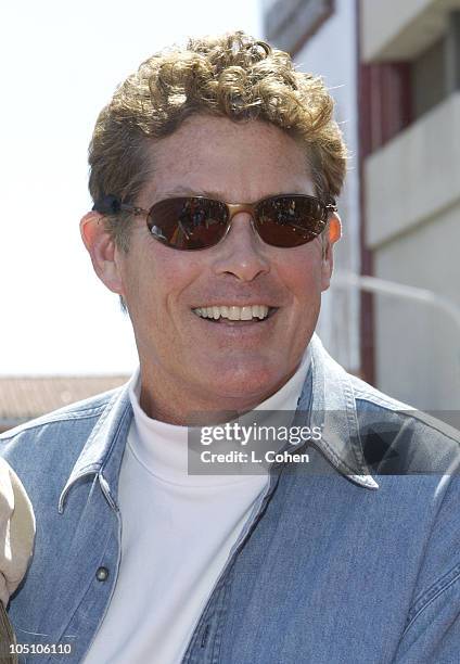 David Hasselhoff during "Daddy Day Care" Premiere Benefiting the Fulfillment Fund at Mann National - Westwood in Westwood, California, United States.