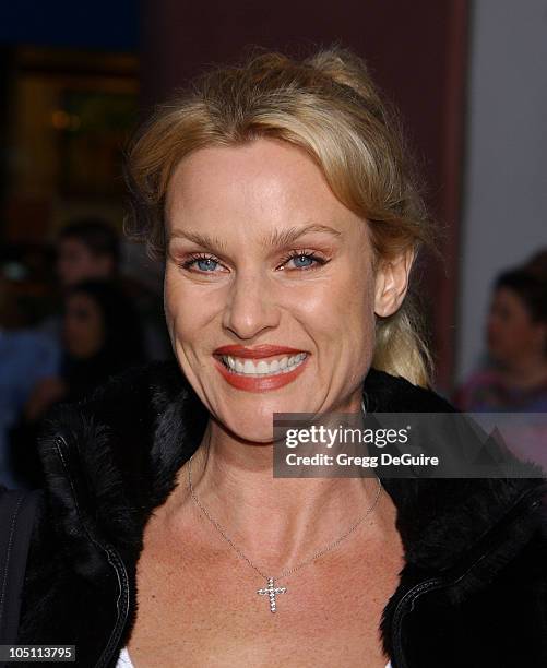 Nicollette Sheridan during The World Premiere of "Bruce Almighty" at Universal Amphitheatre in Universal City, California, United States.