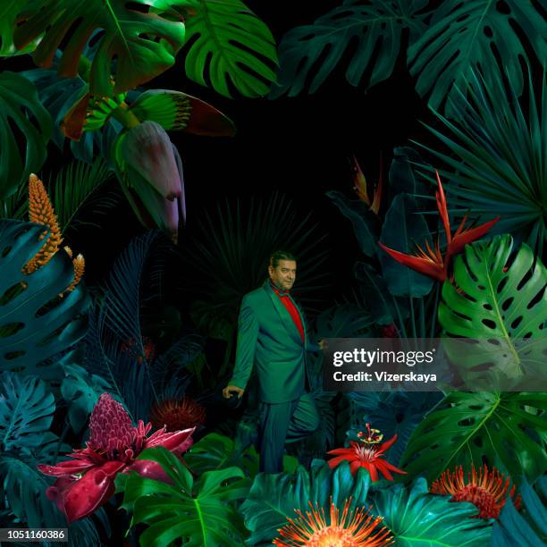 surreale dschungel porträt - grüner anzug stock-fotos und bilder