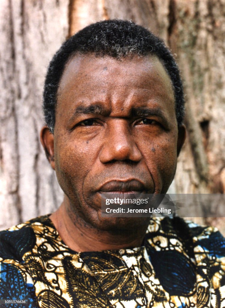 Portrait Of Chinua Achebe