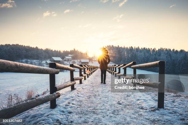 winter walk - beam bridge stock pictures, royalty-free photos & images