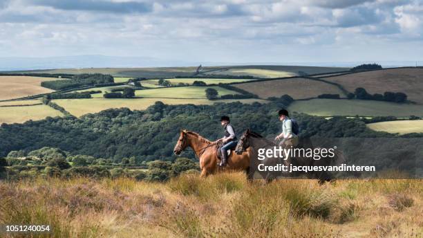 twee amazones in een typisch landschap van exeter, england (united kingdom) - exmoor national park stockfoto's en -beelden