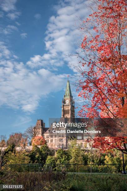 autumn leaves surrounding canada's peace tower and parliament buildings under a blue sky - ottawa fall stock pictures, royalty-free photos & images