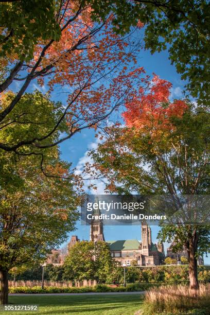 autumn leaves surrounding canada's peace tower and parliament buildings under a blue sky - parliament hill canada stock pictures, royalty-free photos & images