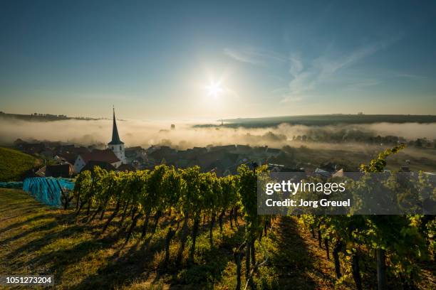 escherndorf at sunrise - volkach stock pictures, royalty-free photos & images