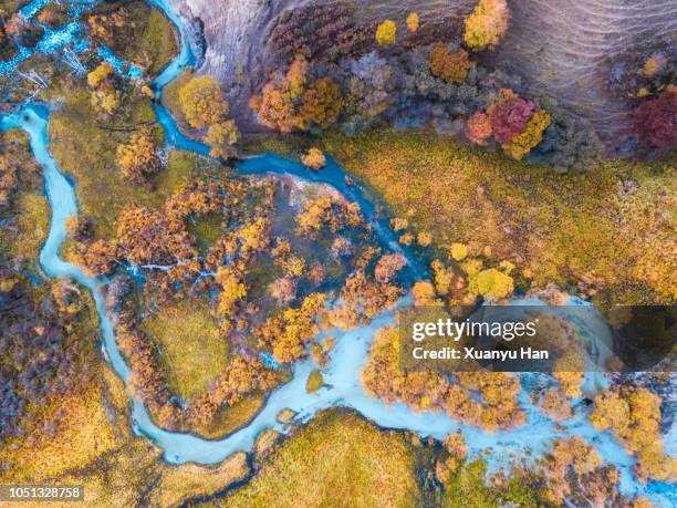 aerial view of multicolored autumn - han river imagens e fotografias de stock