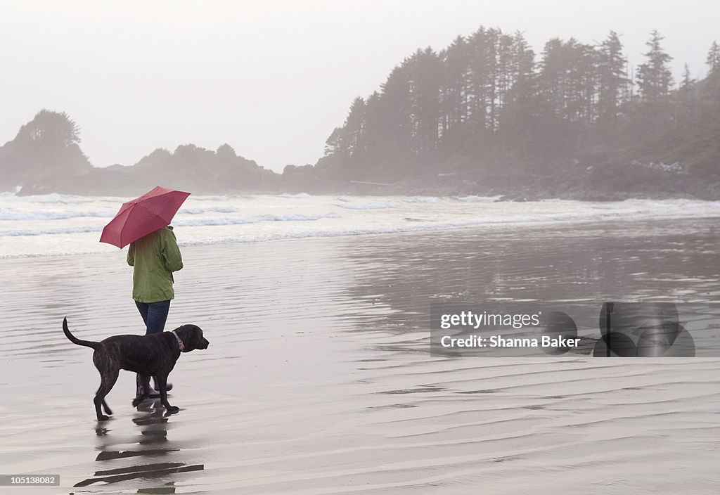A woman and her dog walking along a beach