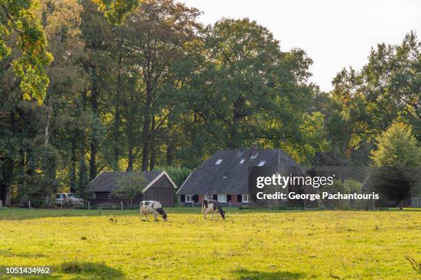 Dutch Spring Farming 16,402 Nederland Farm Stock Photos, High-Res Pictures, and Images ...