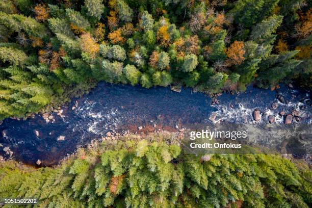 aerial view of boreal forest nature in autumn season, quebec, canada - river stock pictures, royalty-free photos & images